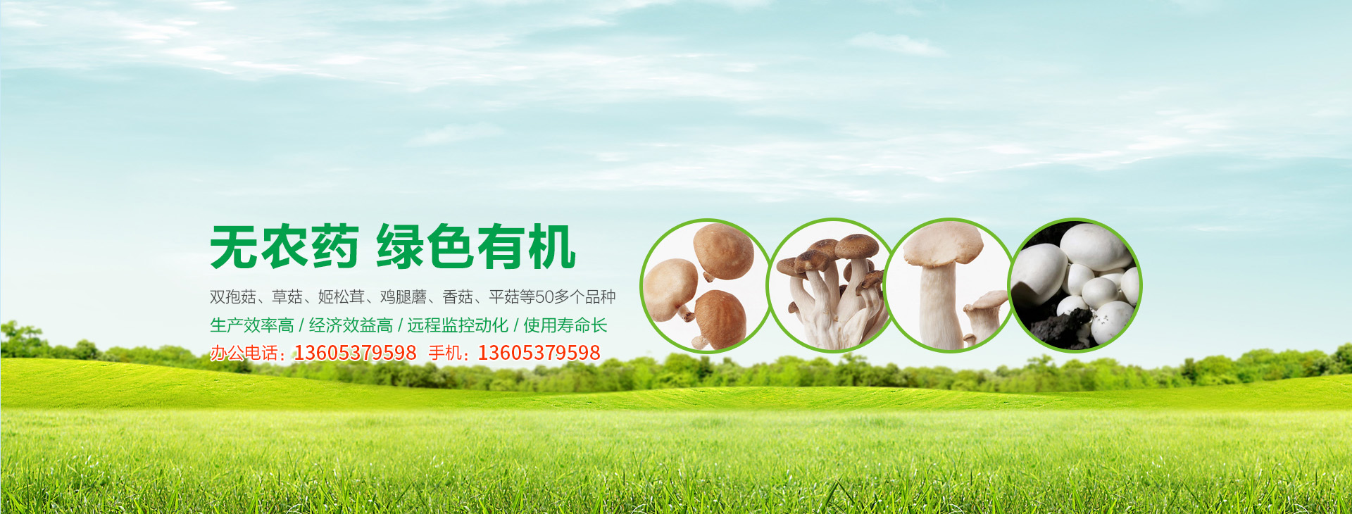濟寧正邦表面處理劑有限公司